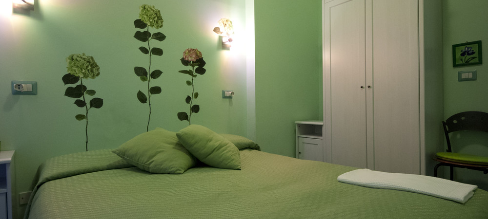 camera verde